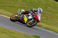 PJ-Motorsport-2019;anglesey-no-limits-trackday;anglesey-photographs;anglesey-trackday-photographs;enduro-digital-images;event-digital-images;eventdigitalimages;no-limits-trackdays;peter-wileman-photography;racing-digital-images;trac-mon;trackday-digital-images;trackday-photos;ty-croes